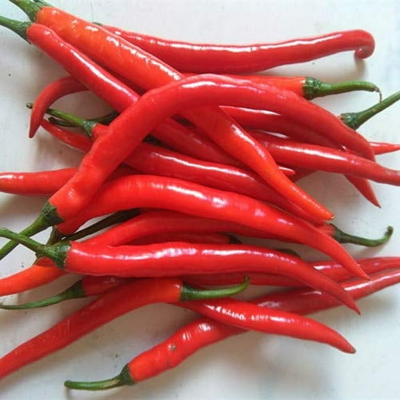 50 Pieces Organic Long Slender Pepper Seed Pepper Seed Chili Red Non-GMO Vegetable Plant Seed Hardy Perennial for Garden Balcony/Patio