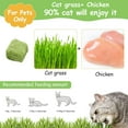 thumbnail image 3 of HavenJanny 60g Cat Grass Treats for Cat, Freezed Drying Cat Grass Teething Stick Snacks for Cats, Edible Cat Chew Toys for Teeth Cleaning and Hairball Removal, 3 of 9