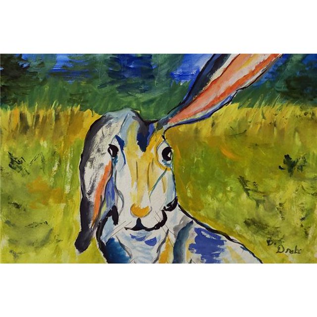 Tapis de Porte Portrait de Lapin 30 x 50 Po