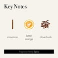 thumbnail image 3 of Recarga de dispositivo inteligente LAFCO New York Holiday Spiced Pomander, 3 of 6