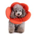 thumbnail image 1 of Clearance! Pet Flower Elizabethan Protective Dog Lick Caught Soft Sponge Adjustable Postoperative Kit for Small and Medium Dog Green L, 1 of 11