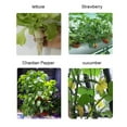 thumbnail image 4 of Plastic Garden Mesh Net Pot Hydroponic Basket Planting Nursery Grow Supplies For Clone Planting, 4 of 6