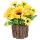 thumbnail image 1 of GOOHOCHY Maceta de madera rústica para flores, soporte para plantas pequeñas para decoración de interiores y hogares., 1 of 8