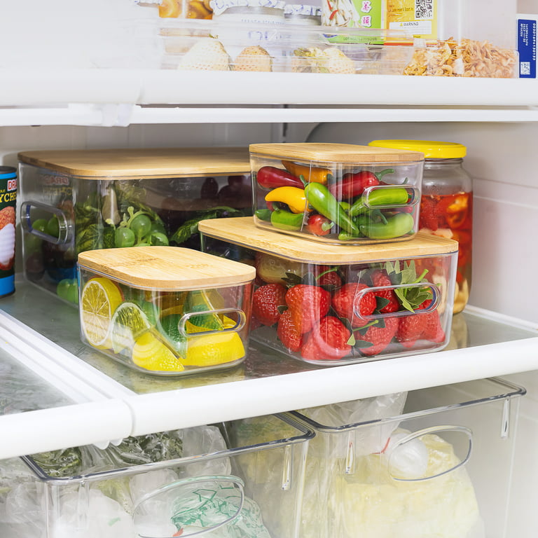 Sorbus Fridge Bins and Freezer Bins Refrigerator Organizer