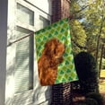 thumbnail image 2 of Carolines Treasures SS4441CHF Spaniel St. Patricks Jour Shamrock Portrait Drapeau Toile Maison Taille, 2 of 4