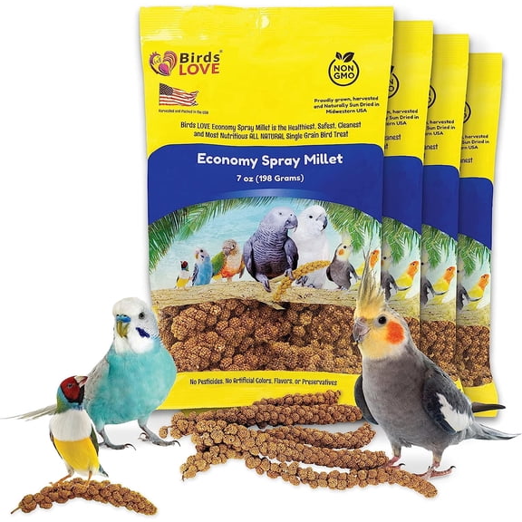 Birds LOVE Economy Thin Special Spray Millet Bird Treat, Non-GMO and Pesticide-Free Spray Millet with Edible Tops Only, Natural Bird Snack for Cockatiels, Lovebirds, Parakeets, Budgies, Finches, Cana