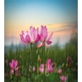 thumbnail image 3 of Lotus Duvet Cover Set, Flower Blooming in Spring Meadow Natural Garden, Decorative 3 Piece Bedding Set with 2 Pillow Shams, Queen Size, Pale Pink Pale Blue, by Ambesonne, 3 of 3