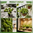 thumbnail image 7 of XIBUFE 12Pcs Moss for Plants Indoor,Maintenance-Free, Permanently Evergreen Moss Balls,Lightweight Foam Core Structure Marimo Moss Ball Green Decor, 7 of 7