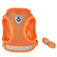 thumbnail image 1 of Dog Harness And Leash Set, 1 of 1