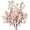 Champagne, variant on Artificial Cherry Blossom Flowers， Bulk Silk Faux Flowers Real Touch Bouquet for Christmas Halloween Home Wedding Spring Decor ，Vase Not Included (White)