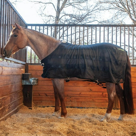 classic equine magntx sheet