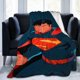 thumbnail image 1 of Manta de franela de Superman, suave y acogedora manta de felpa para todas las estaciones para niños y niñas, manta cálida y ligera para sofá cama o viaje de 50 x 40 pulgadas, 1 of 8
