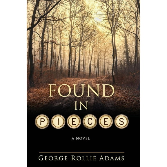 Found in Pieces, (Hardcover)