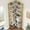 7th floor, Gold + White Relief, variant on Industrial L-Shaped Corner Bookshelf – 86" Tall 7-Tier Bookcase, Beaded Arched Design, Large Display Cabinet for Living Room, Bedroom, Office Storage – Gold + White Relief, 7th Floor
