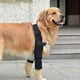 thumbnail image 3 of Adjustable Dog Elbow Brace - Support for Shoulders, Front Leg Injuries & Arthritis (Large), 3 of 4