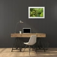 thumbnail image 3 of Paulson, Don 32x23 White Modern Wood Framed Museum Art Print Titled - USA, Oregon, Elk River, 3 of 4