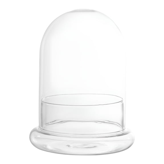 BPPEG Dome Glass Terrarium Cloche Bell Display Plant Flower Planter Jar Cover Case Succulent Clear Vase Globe Preserved Air