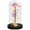 Multi-color, variant on Roses Gifts for Women, Mom Birthday Gifts, Colorful Artificial Flower Rose Light Gift in A Glass Dome, Gifts for Daughter Women Mom Rose Gifts for Mothers Day, Valentines Day, Anniversary