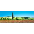 thumbnail image 2 of Krahmer, Frank 24x11 Gold Ornate Wood Framed with Double Matting Museum Art Print Titled - Cypress in poppy field, Tuscany, Italy, 2 of 4