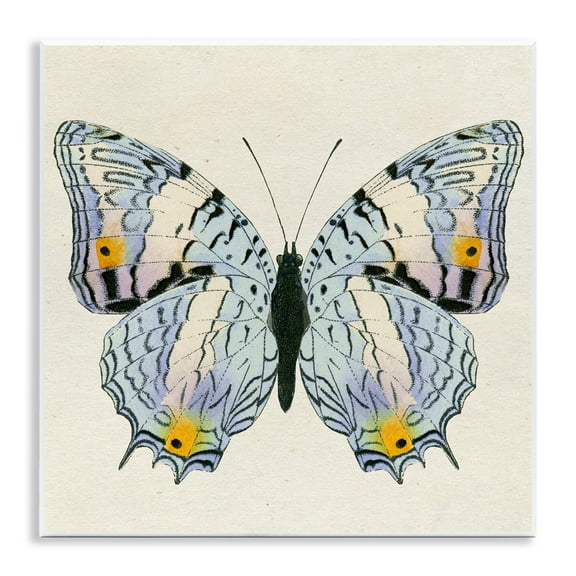 Stupell Industries Butterfly with Yellow Details Insects Painting Unframed Art Print Wall Art, 12 x 12
