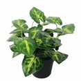thumbnail image 1 of Pequeña simulación de plantas verdes en macetas, decoración de ventanas del hogar, adornos de flores falsas, plantas suculentas, plantas con flores (pequeño taro inmortal (verde)) JM JM, 1 of 3