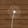 thumbnail image 2 of Robinson, Tamara 15x15 White Modern Wood Framed Museum Art Print Titled - Brown Dandelion I, 2 of 4