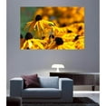 thumbnail image 2 of Arena "Big Brother" Wall Decal, 2 of 2