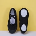 thumbnail image 2 of Girls Ballet Shoes Dance Slippers with Drawstring, Professional Ballet Flats for Kids Gymnastics Training Shoes, 2 of 8