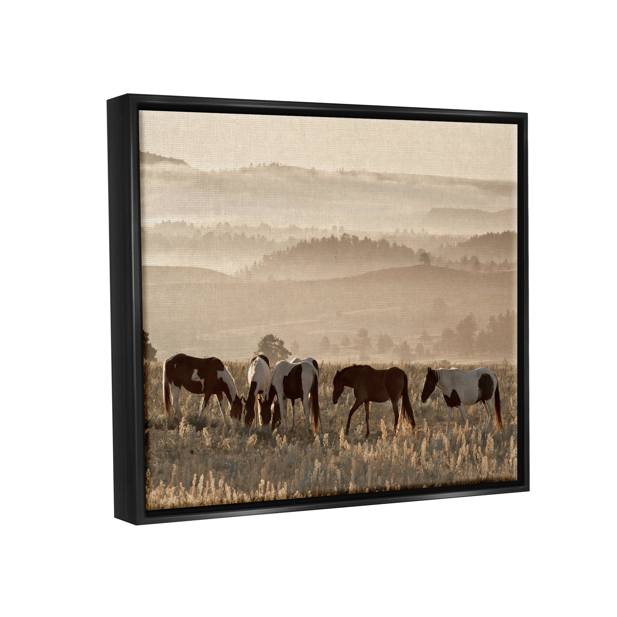 Stupell Industries Horses Grazing Rolling Hills Animals & Insects Photography Black Floater Framed Canvas Art Print Wall Art, 31 x 25
