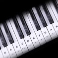 thumbnail image 2 of Transparent Piano Keyboard Sticker 88 Keys Electronic Keyboard Piano Sticker, 2 of 8