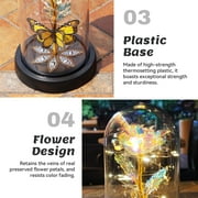 Qoosea Glass Rose Artificial Flowers with LED Lights Eternal Rose with Butterfly in Glass Dome Gifts for Valentine's Day Birthday Mother's Day Christmas
