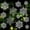 Clear, variant on 36 Pack Plastic White Snowflake Ornaments Decorations, Hanging Decorations for Christmas Tree