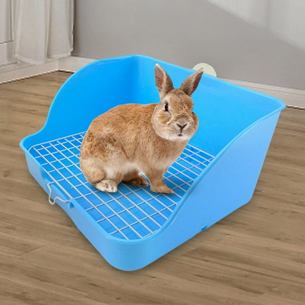Inodoro con bandeja de arena Colco Caja de arena para conejos rectangular azul