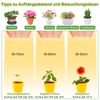 thumbnail image 4 of Green Haven: Dimmable Grow Light With Sunlike Spectrum Light For Indoor Plants, Wide Applications, 2-Foot Tall Factory Area Coverage, 4 of 8