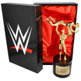 thumbnail image 5 of WWE Slammy Award Replica Commemorative Wrestling Trophy, 5 of 5
