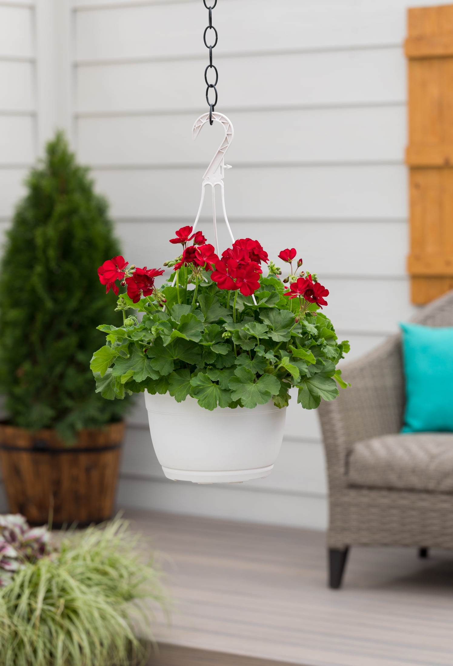 Expert Gardener 1.5gal Red Geranium Live Annual Plant Hanging Basket Sun