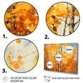 thumbnail image 4 of Designart "Essence of the Orange American Basswood III" Extra Large Landscapes Framed Wall Art - Country Orange Tree Entryway Framed Wall Art Print, 4 of 7