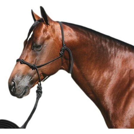 UPC: 0782146227229 | Professionals Choice Halter Clinician with 15  Nylon Lead Black HRC