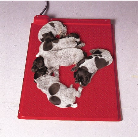 Kane Heat Mat With Integrated Rheostat For Pet Dog Puppy Animal