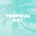 thumbnail image 3 of Moen INC20802 INLY Aromatherapy Shower Capsule 5-Pack, Tropical Day, 3 of 8