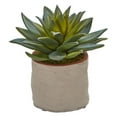 thumbnail image 2 of Nearly Natural Mixed Succulent Artificial Plant (Set of 4), 2 of 12