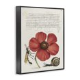 thumbnail image 3 of Stupell Industries Shabby Chic Vintage Insects on Flower Black Framed Giclee Art, 11 x 14, by Joris Hoefnagel, 3 of 8