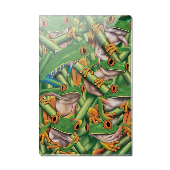 Red Eye Tropical Rainforest Frogs Rectangle Acrylic Fridge Refrigerator Magnet