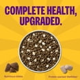 thumbnail image 2 of Wellness Complete Health+ Small Breed Adult Dry Dog Food with Freeze Dried Wellbites, Wholesome Grain Kibble+, Natural, Turkey and Oatmeal Recipe, 10.5 lb Bag, 2 of 9