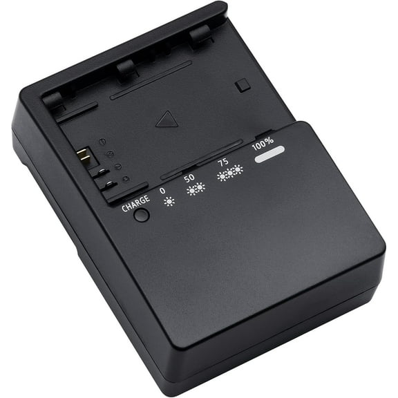 LP-E6 Charger Compatible with Canon LP-E6 Battery EOS R R5 R6 6D 7D 5D 5DS 5DS R 60D 60DA 70D 80D 5D Mark III 90D Mark II Camera