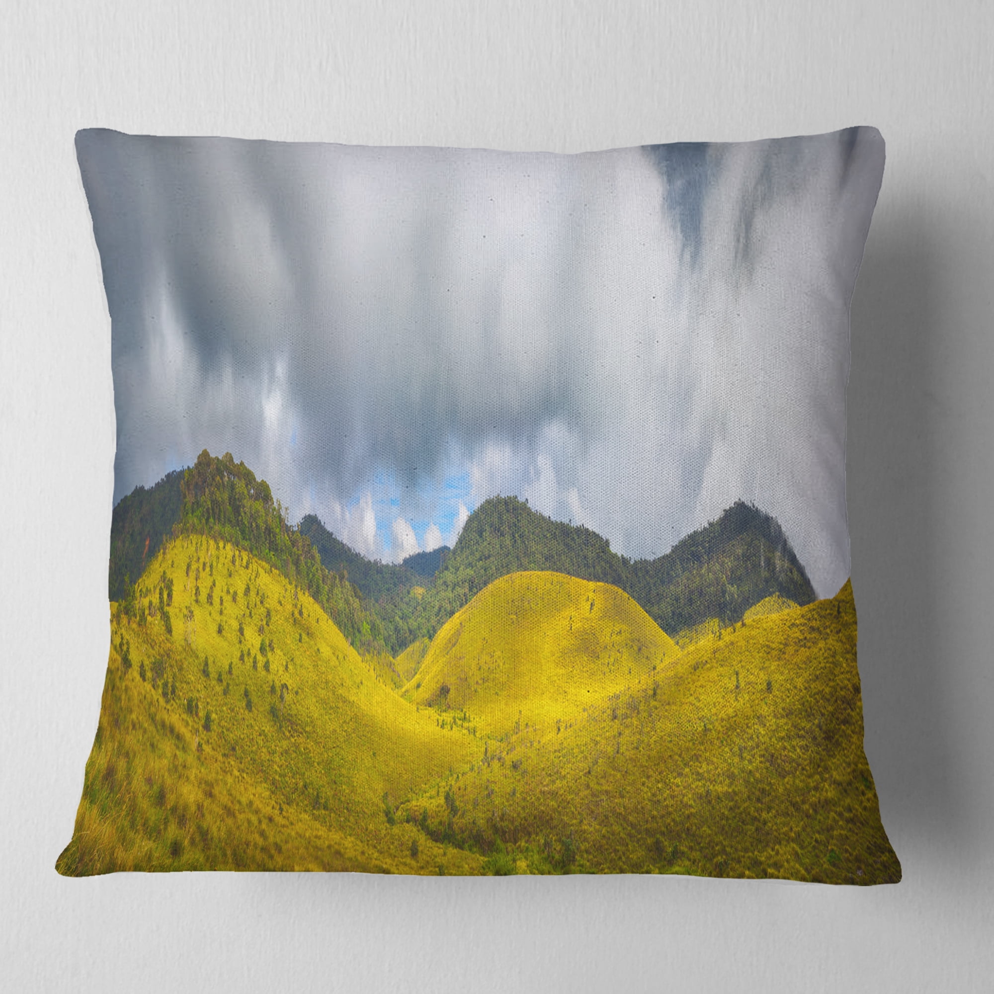 Designart The Horton Plains - Landscape Painting Throw Pillow - 18x18