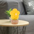 thumbnail image 4 of YSNOOWE Cute Night Light Lighting For Study Room Lamp 1Set, 4 of 6