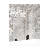 Trademark Fine Art 'Oreos and Milk I' Canvas Art by Aledanda