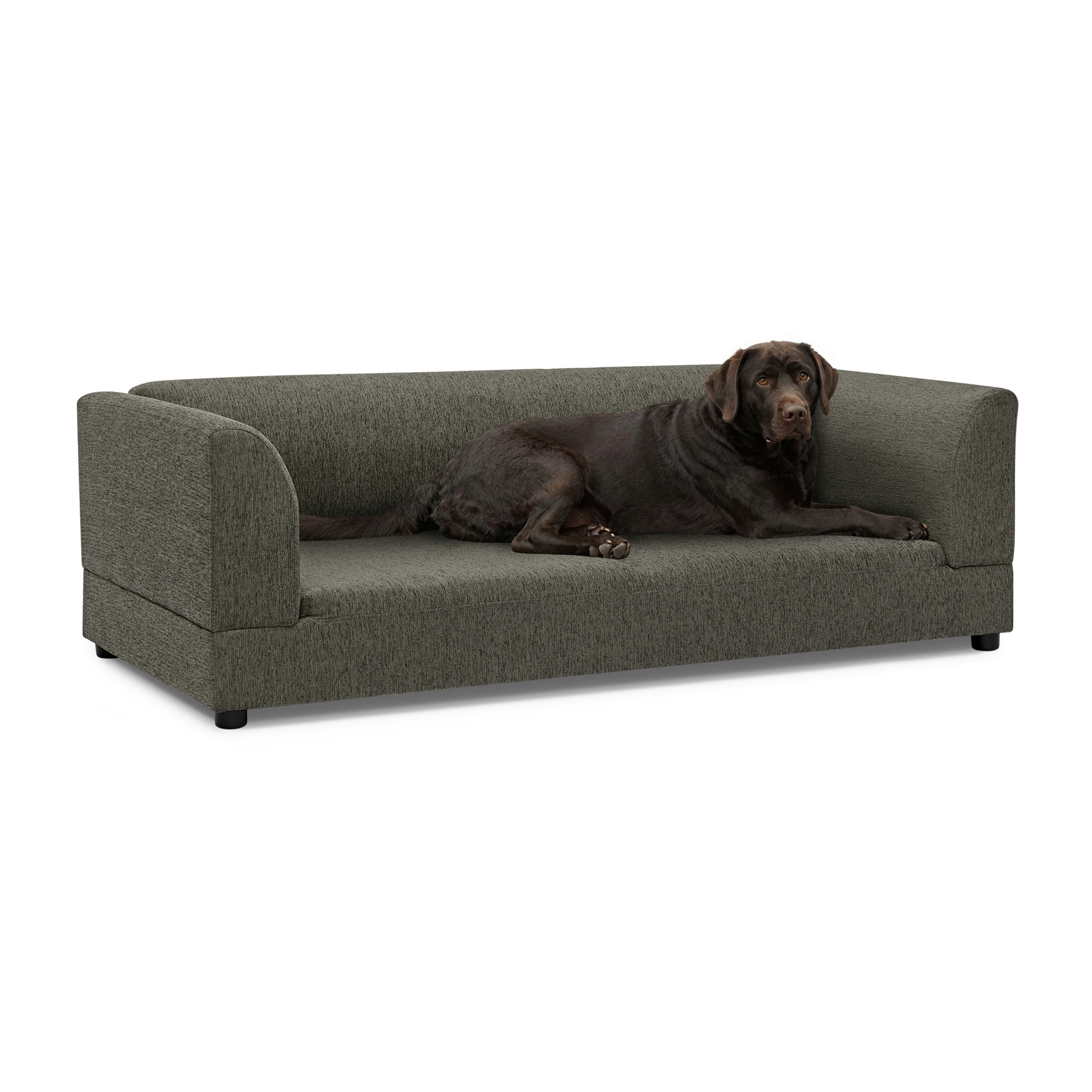 Noble House 57" Comfortable Oversized Pet Sofa, Modern Rectangular Dog Bed with Armrests and Cushion, Dark Gray
