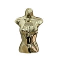 thumbnail image 4 of Runquan Female Mannequin Torso Body Manikin for Fitting Styling Clothes Shows Retail Gold, 4 of 8